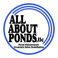 All About Ponds